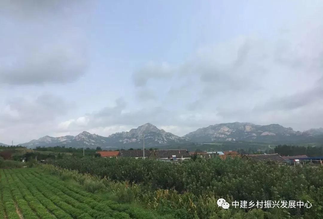 微信图片_20191031115812.jpg